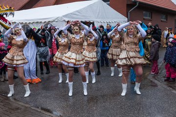 Bild 559 - Latuff 2017